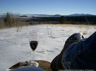 508 Lumberjack Dr, Fairplay, CO 80440