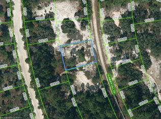 364 Summer Hill Dr, Lake Placid, FL 33852