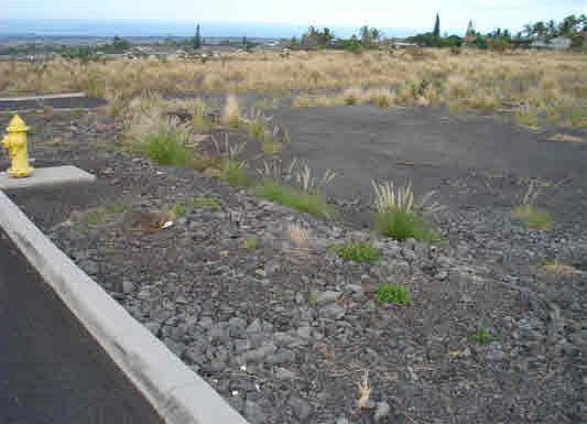 3rd image of Wainani St Lot 38