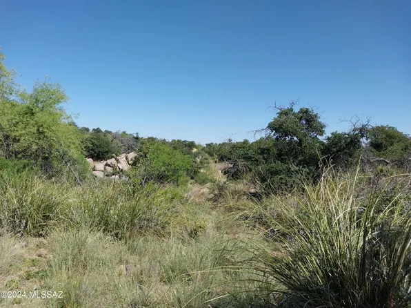 N Javelina St, Oracle, AZ 85623