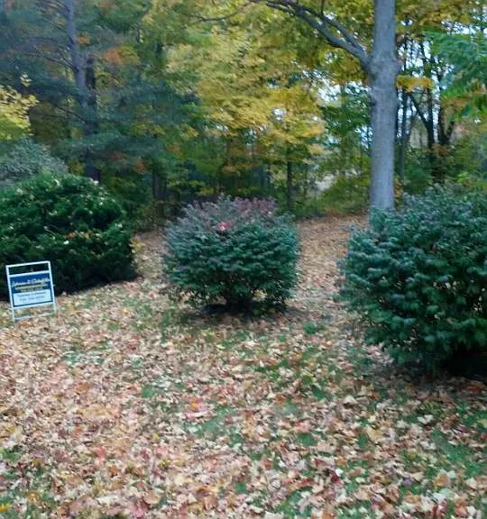 20324 Jerusalem Rd — Photo 29