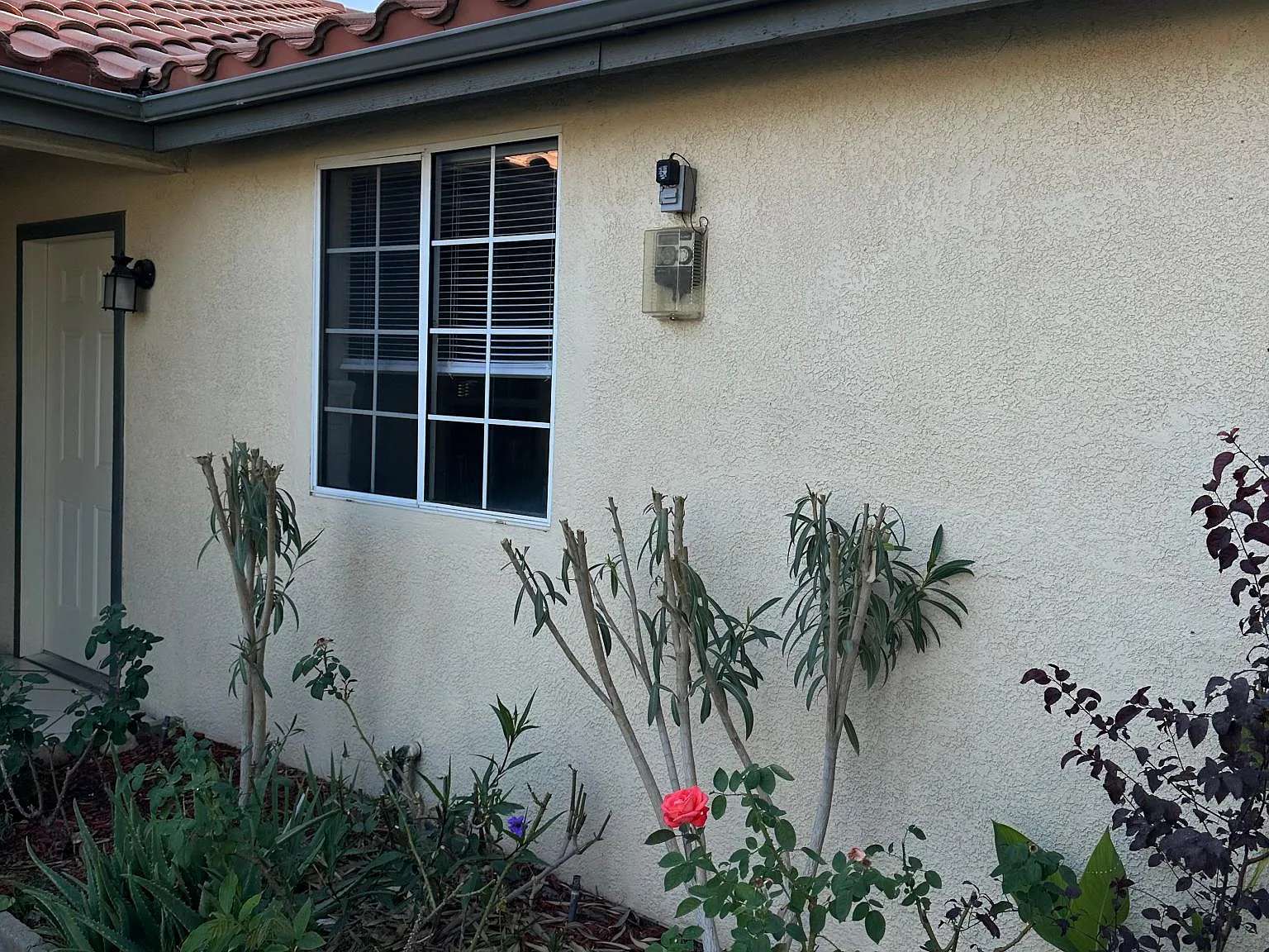 1 bed, 550 sqft, $1,100 — Photo 1