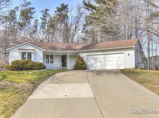 10733 White Birch Dr, Allendale, MI 49401