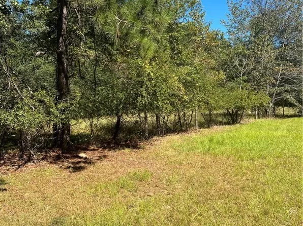 1955 Turkey Branch Rd, Fairmont, NC 28340