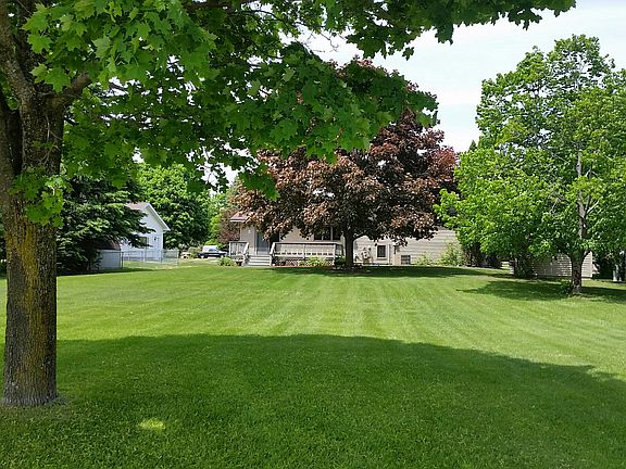 back yard