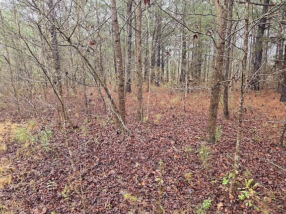 3rd image of 0 Calamus Pond Rd