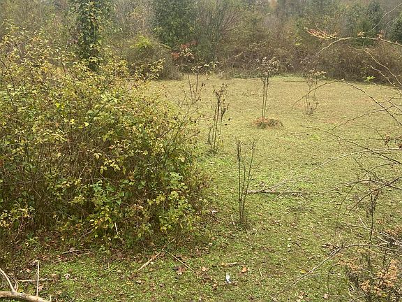 5th image of 820 Mel Dixon Ln