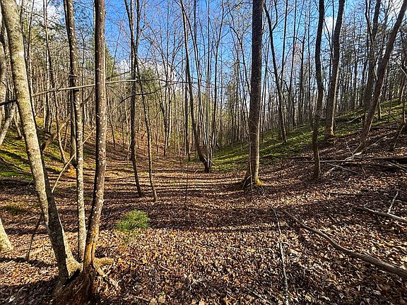 4th image of Mitchells Mill Rd