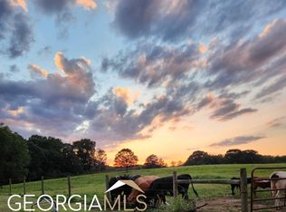 1115 Deer Run Ln, Canon, GA 30520