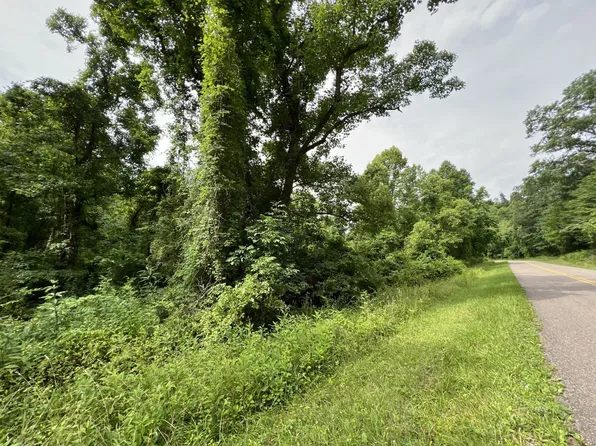 Bald Knob Stiversville Rd, Portland, OH 45770