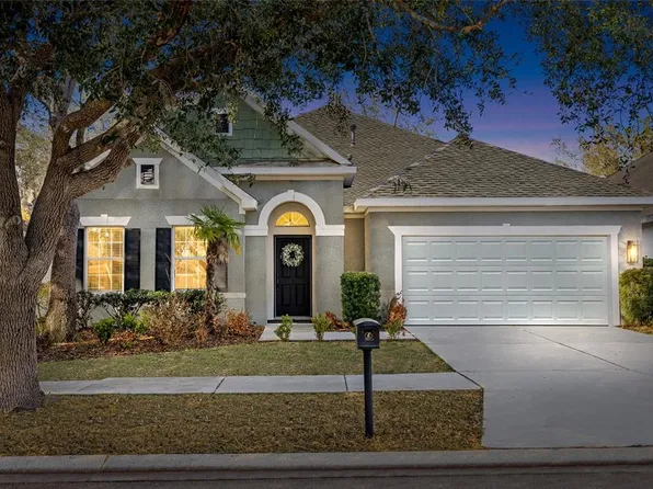 15814 Starling Water Dr, Lithia, FL 33547