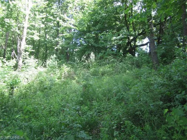 Collier Dr, Doylestown, OH 44230