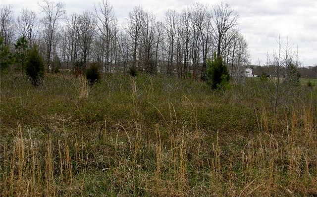 1st image of 222 Pioneer Dr