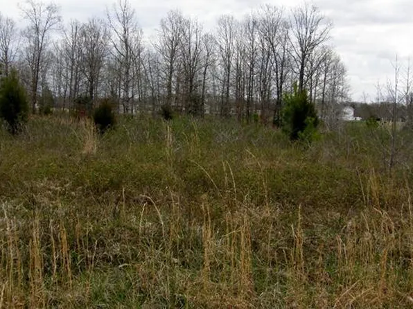 222 Pioneer Dr, Hohenwald, TN 38462