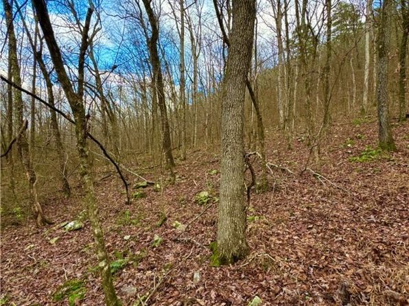 0 Fourche River Rd, Parks, AR 72950