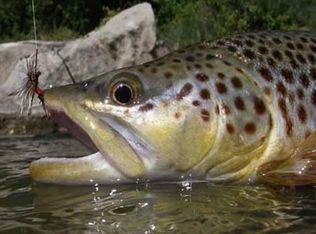 1935 Eagle Ranch Rd, Eagle, CO 81631