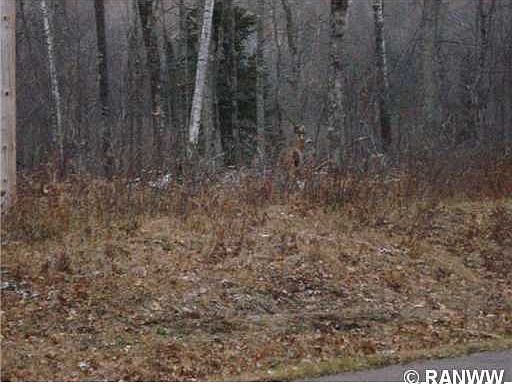 2nd image of 0 Yarnell Road