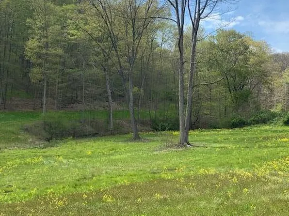 Decker Hollow Rd, Tyrone, PA 16686