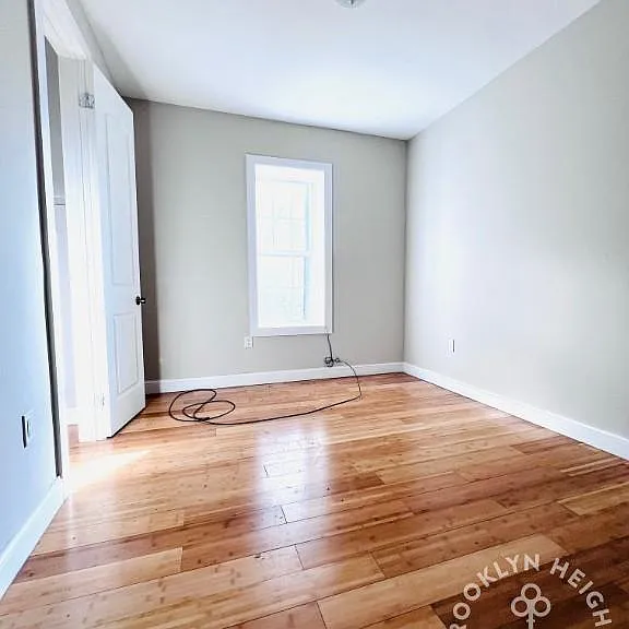 546 Chauncey St #2 — Photo 6