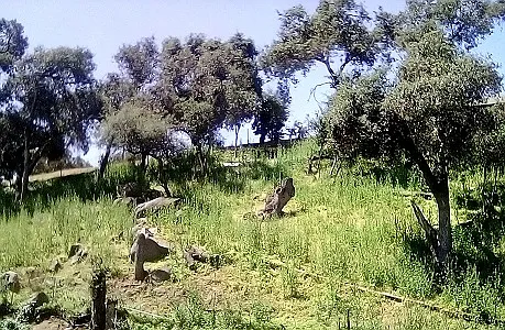 E Vista Way — Photo 10