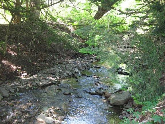 Stream borders property