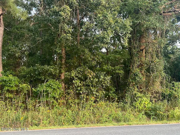 4595 Mercer Mill Brown Marsh Road Lot 1 #&-11, Clarkton, NC 28433