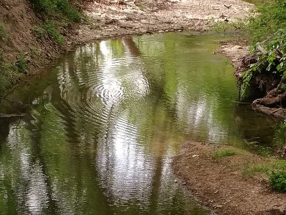 2nd image of 122 Covered Bridge Dr