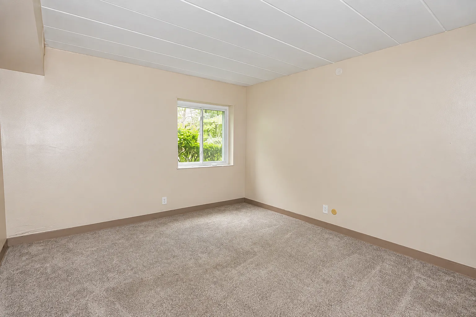 1 bed, 725 sqft, $1,000 — Photo 4
