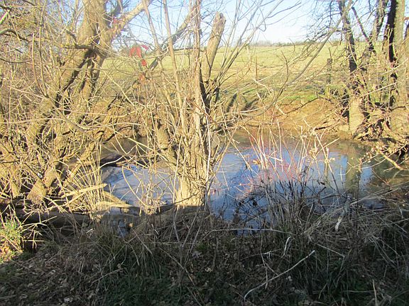 2nd image of 101 County Road 459