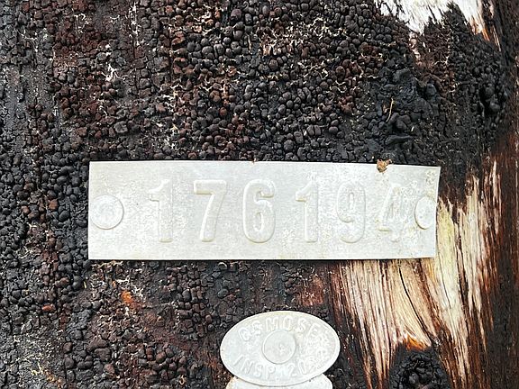 3rd image of 11-1748 Mahina St Lot 8