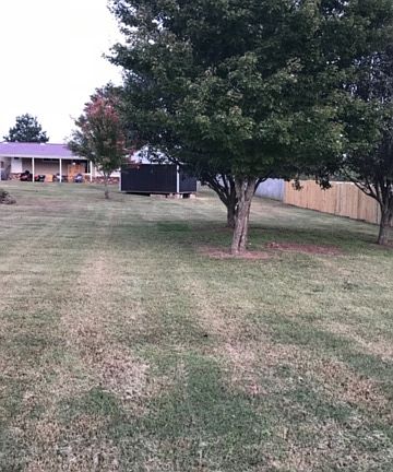 Back yard
