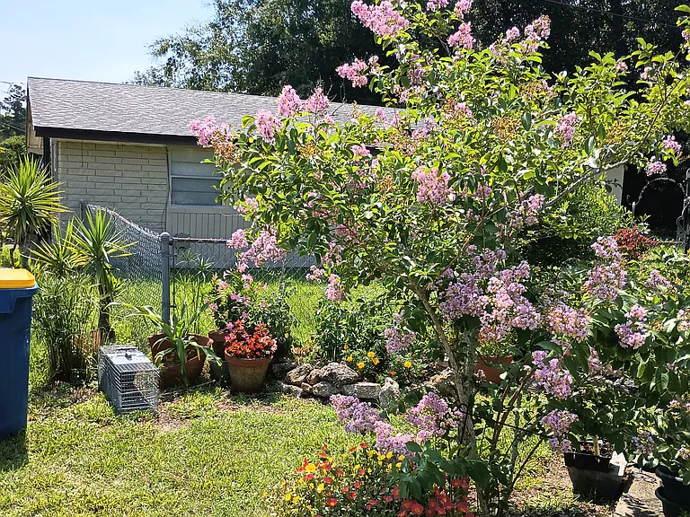 Quitina Dr — Photo 9