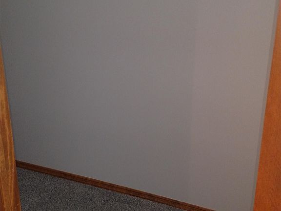 Under-stair Hall Closet