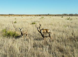 1704 S Avenue D, Portales, NM 88130