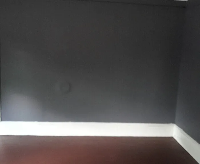 505 Chiquola Ave #11 — Photo 6