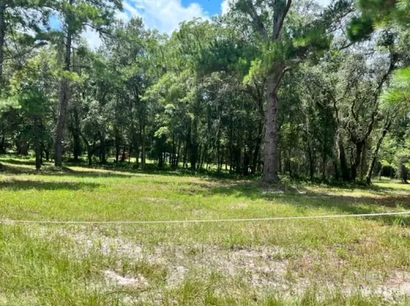 13626 SW Tustenuggee Ave, Fort White, FL 32038
