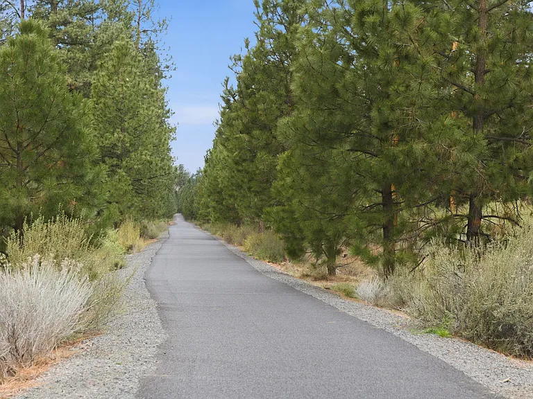 Views of the Haul Road Trail.