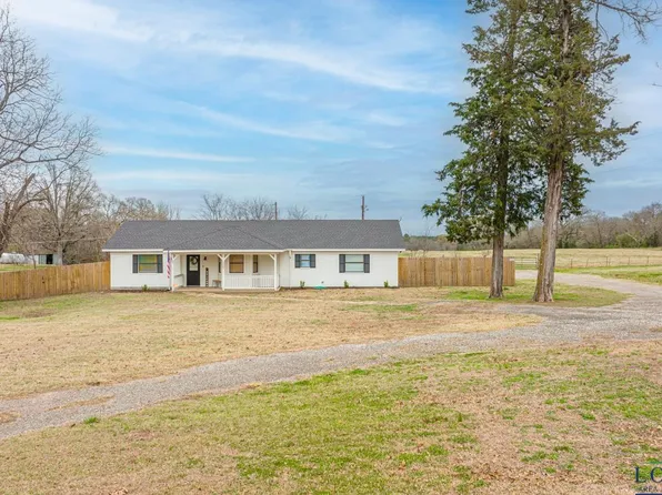 2669 Myrtle Rd, Diana, TX 75640