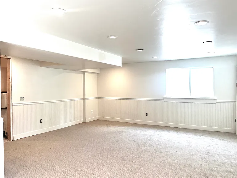Downstairs Recreation/Family Room