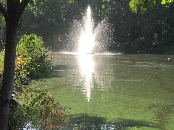 Lake w. fountain