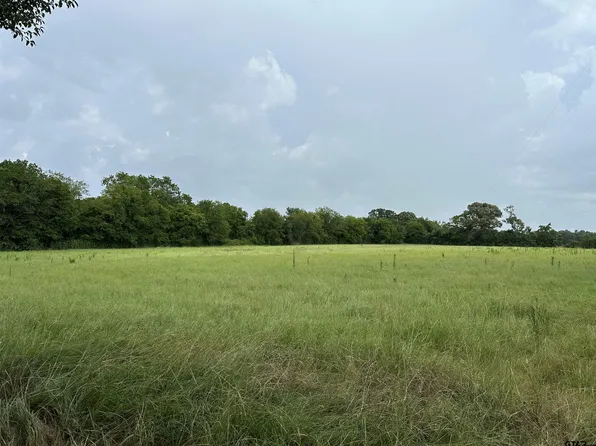 3697 An County Rd Tract 309-2, Frankston, TX 75763