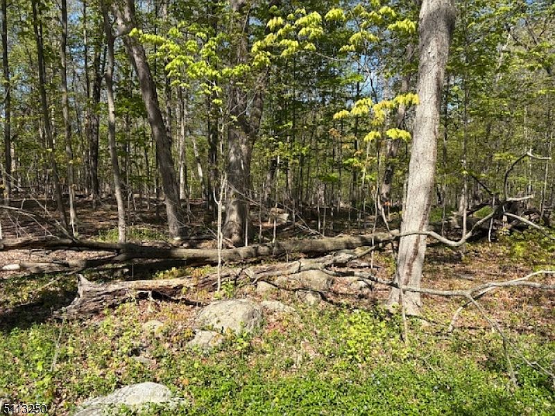 2nd image of 0 Schoolhouse Rd