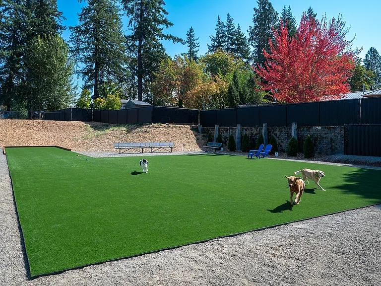 The Banks | Dog Park
