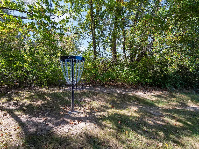 Frisbee golf