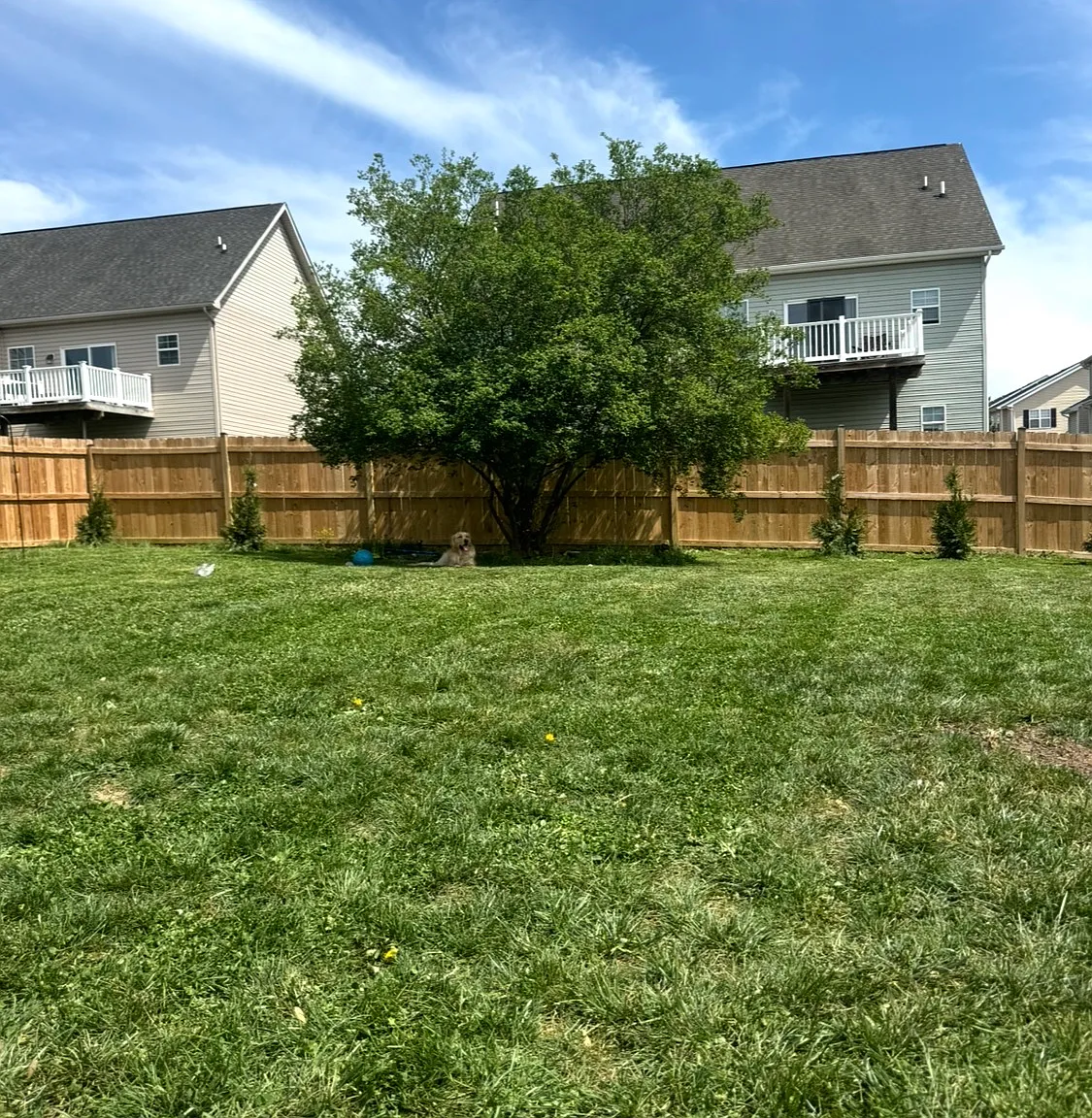 3 bed, 2.5 bath, 1442 sqft, $2,100 — Photo 3