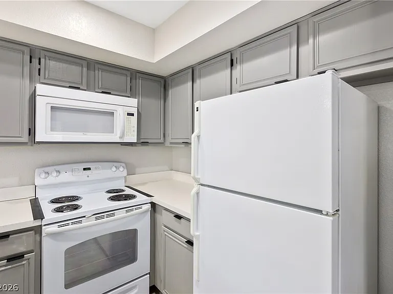2220 Pine Breeze Ln #101 — Photo 11
