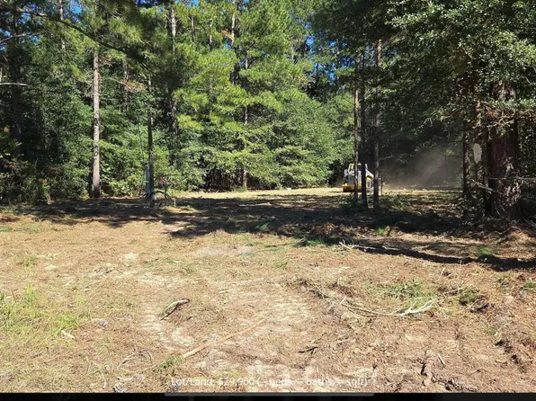 7P SHAD ROAD, Williston, SC 29853