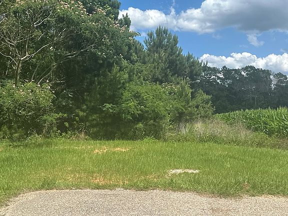 4th image of 351 Harvest Ln