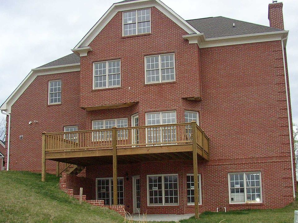 Back view