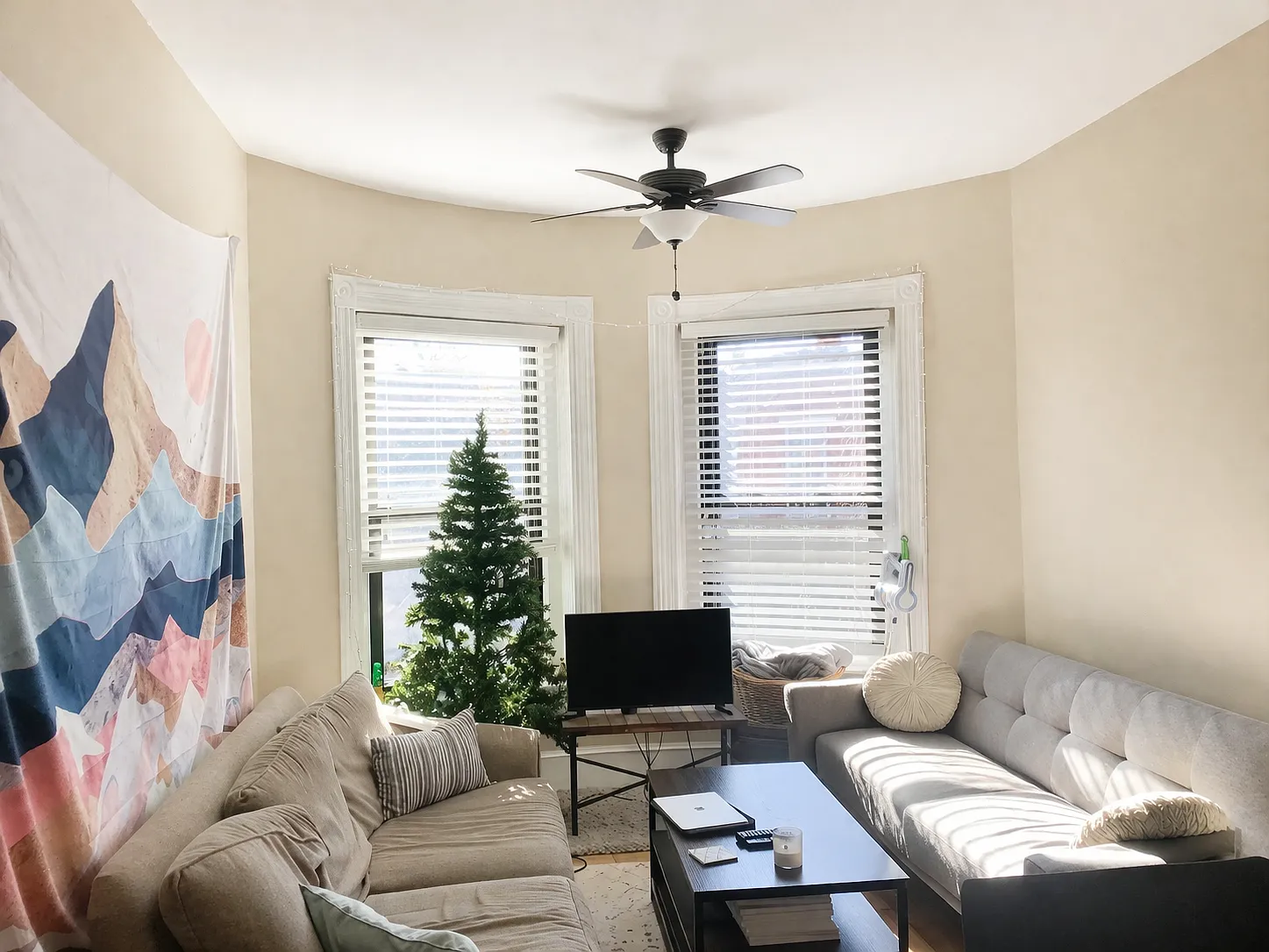 3 bed, $5,000 — Photo 3